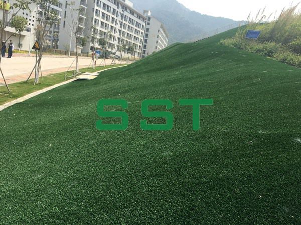大开网城市绿化1