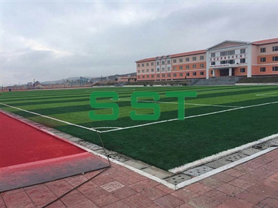 School Sports Turf