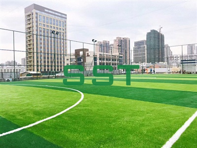 Cagefootball court
