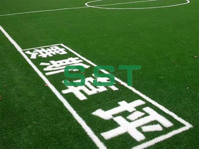 Cagefootball court