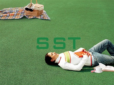 Landscaping Turf Series